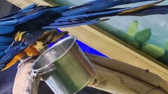 出片的诀窍是创造三角 每一次按下快门，都是对“再坚持一下”的无声肯定。#摄影 #日常分享 #纪录美好