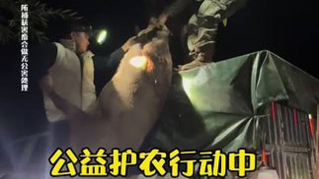 公益护农行动中 成功拿下300加#原创视频 #创作人计划 #三农 #公益护农狩猎队 #户外