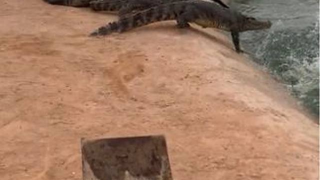 别回头不停留往前走#非专业人士请勿模仿