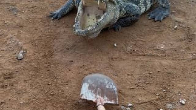 跟着节奏跑起来吧#非专业人士请勿模仿