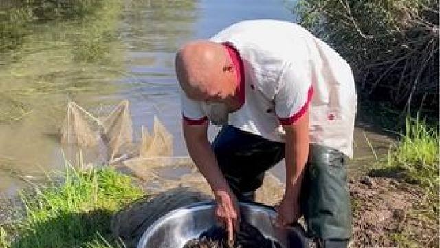 #乡下野外抓鱼视频