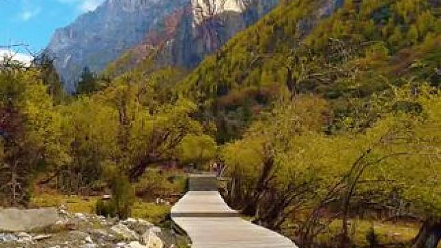 人生就是一场旅行