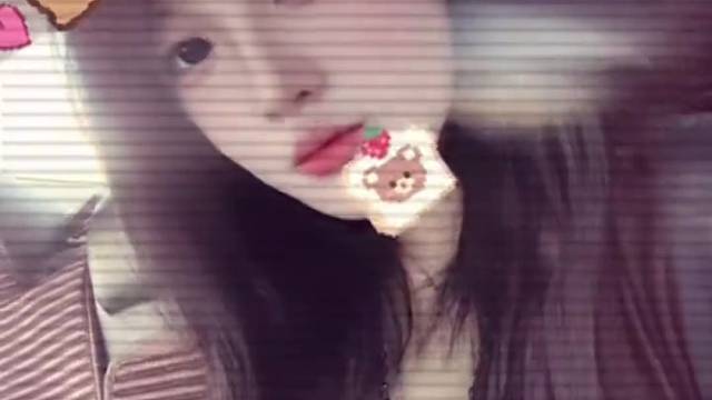 去没人的岛 摸鲨鱼的角