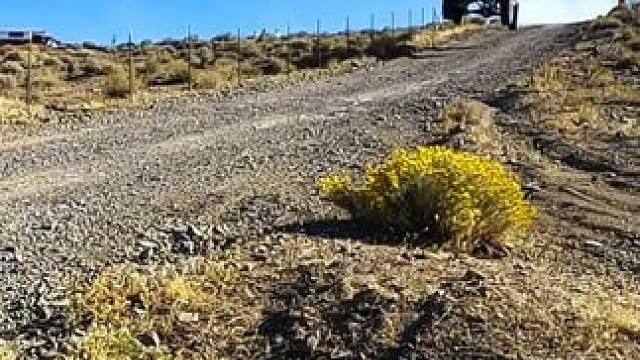 巴哈1000越野拉力赛！ 生命不该在沉默中腐朽，应该在激情中燃烧！