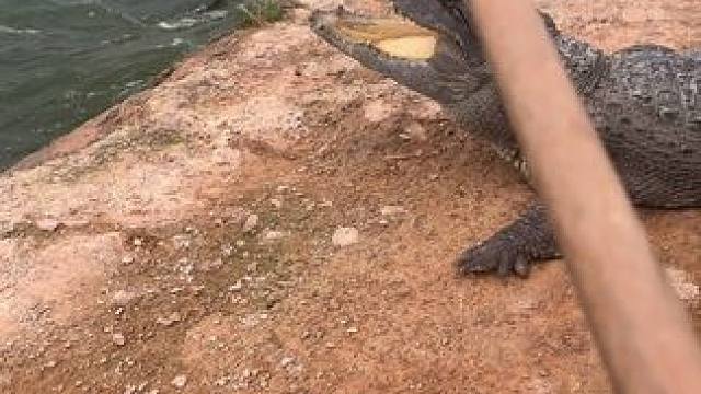 不仅跑着上头，枪枪爆头也上头#非专业人士请勿模仿