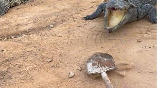 什么头比墙还硬#非专业人士请勿模仿