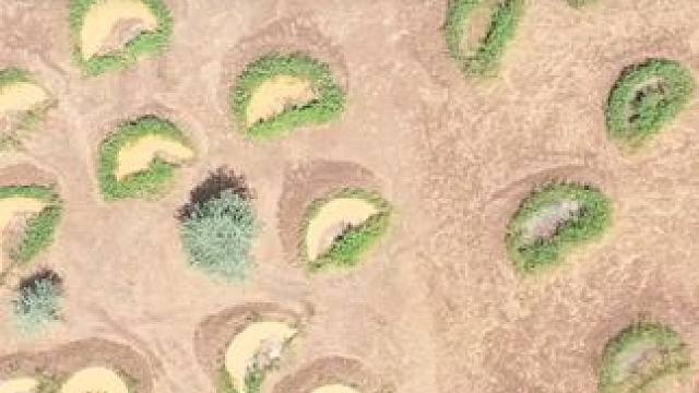 不可思议的鱼鳞坑，为何黄土高原上挖满小坑，就能治理水土流失？ #