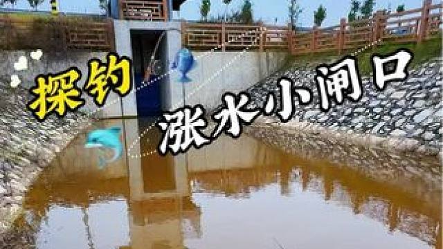 探钓涨水小闸口 #钓鱼#野钓#户外钓鱼#老坛维它米#聚鱼多