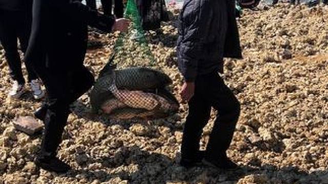 谁说没有鱼，你看人家逮的鱼大不大吧！