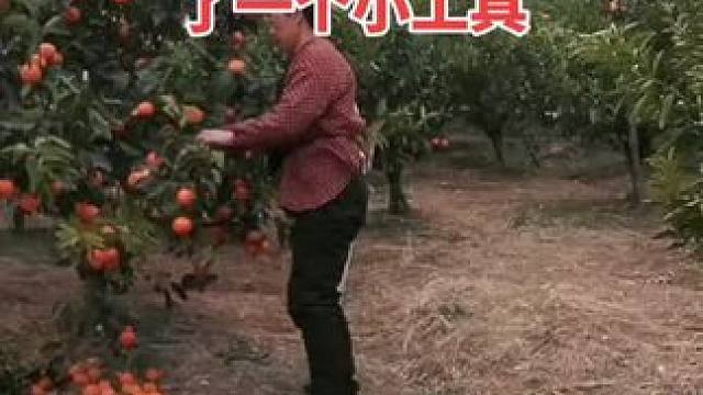 农村大姐直播30天变顽2000新人首播一个小工具直接拿去用 #