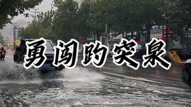 还得是皮卡！#硬派越野 #皮卡 #皮卡改装