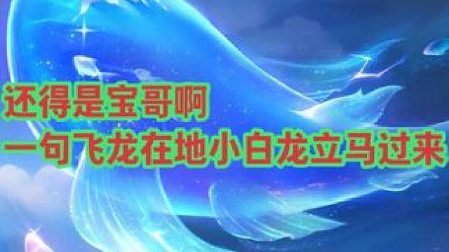 还得是宝哥啊 一句飞龙在地小白龙立马过来 #梦幻西游 #梦幻西游创梦计划 #梦幻西游电脑版 #旭旭宝