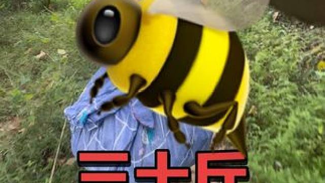 两个人抗几十斤的大七里开心 #爬树神器#爬树猫爪 #我的乡村生活 #来自大山里的味道 #户外探险