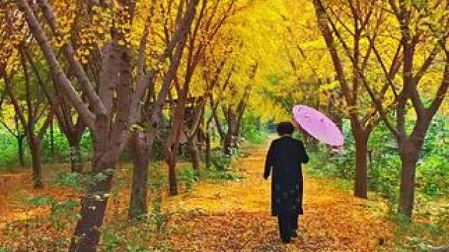 #大自然的美丽风景