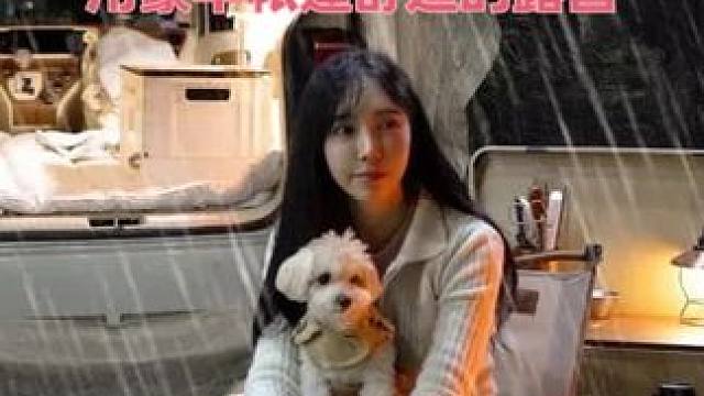 ☔️ 和我的狗在大雨中用豪华帐篷舒适的露营 #豪华帐篷 #启发搜索激励计划 #雨中露营 #解压助眠视