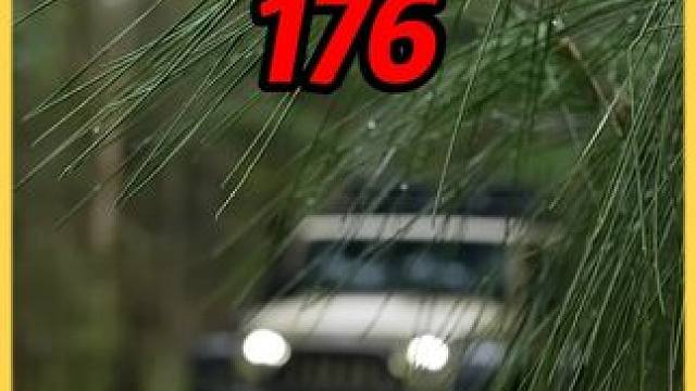 森林中露营，绿色总是能让人放松下来。