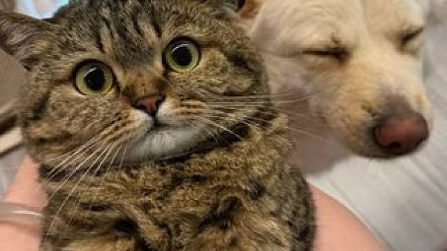 一定要看到最后