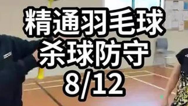 精通羽毛球杀球防守-8/12