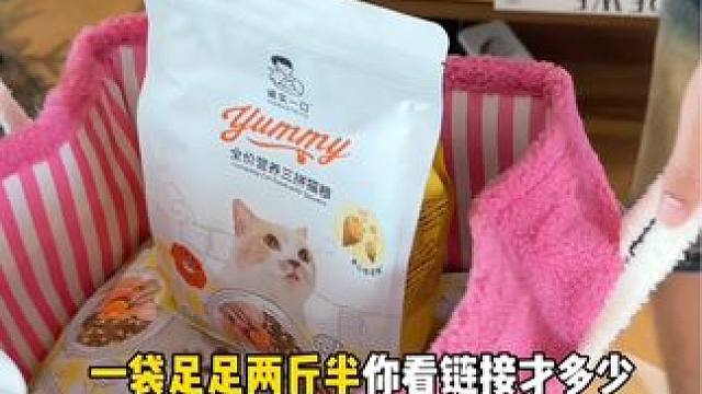 所有养猫人赶紧来薅诚实一口yummy三拼猫粮！足足两斤半你看链接才多少！