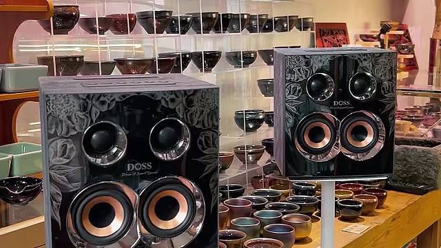 重新定义你对好声音的想象～