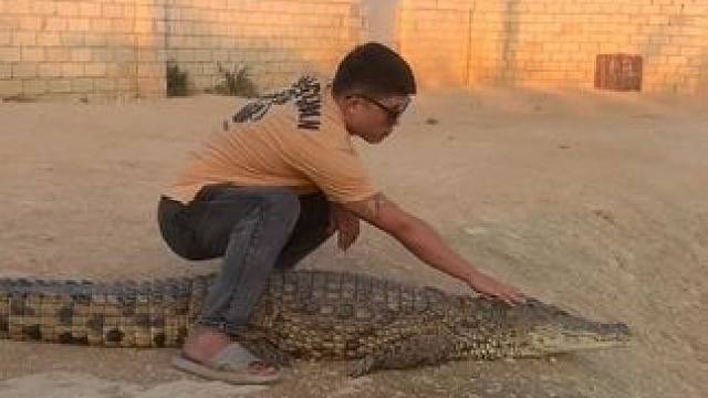 “相见时难别亦难，东风无力百花残”#非专业人士请勿模仿