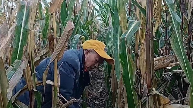 兄弟:，我看你快挨打了[捂脸]