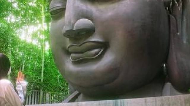 “我向天祈祷 希望再见你一面”#转场 #相见难时别亦难