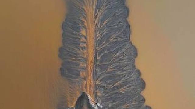 10月27日，浙江杭州，钱塘江小潮汛退潮后，“潮汐树”景观再次浮现于滩涂之上。其纹理细腻如丝，脉络清