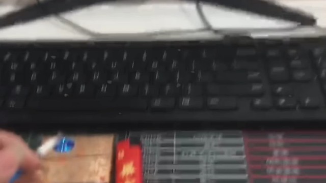 恭喜逃跑吧少年四季获得金狮王猴