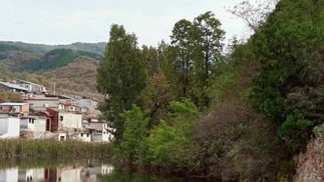 #农村生活 #山村行#西营之行，走进东峪村(4)晨光洒满田野间，幽静山村一派闲。朋友们早上好