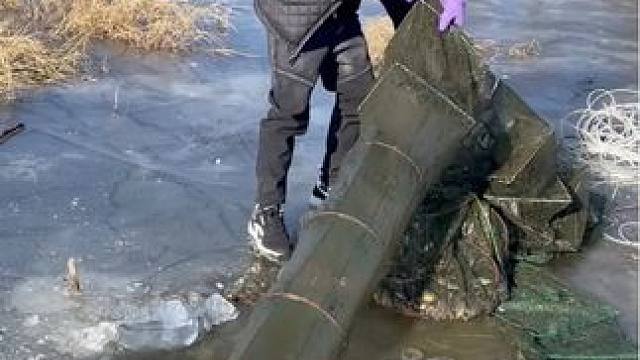 #户外抓鱼 #捕鱼