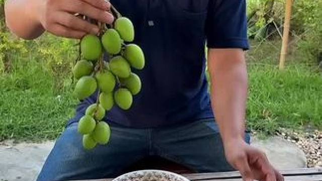 鲜辣蘸水️爽脆小芒果 #泰国大叔#泰国美食#内容启发搜索 #种草激励计划 #全民任务