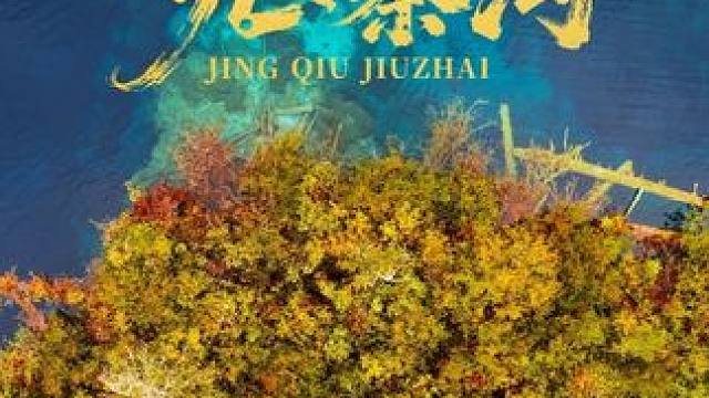 #向往的生活游戏听劝来九寨沟穿厚点，九寨沟的秋天真的美翻了#听劝来九寨沟 #九寨沟旅游攻略 #川西旅