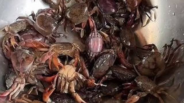 又做了我爱吃的生腌螃蟹