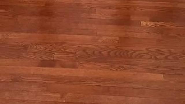 1800 年代的 NERF… 