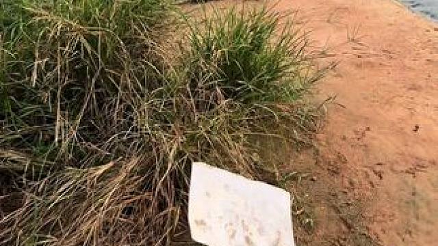 你以为的自由是什么