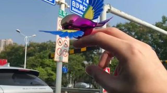 翅膀小鸟 家人们，安排上伴飞鸟，这车开的得劲呀