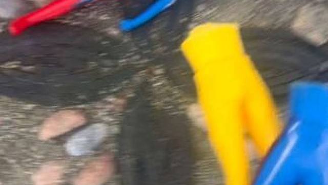 小朋友快来看看奥特曼怎么都受伤了#奥特曼 #儿童玩具 #赛罗奥特曼