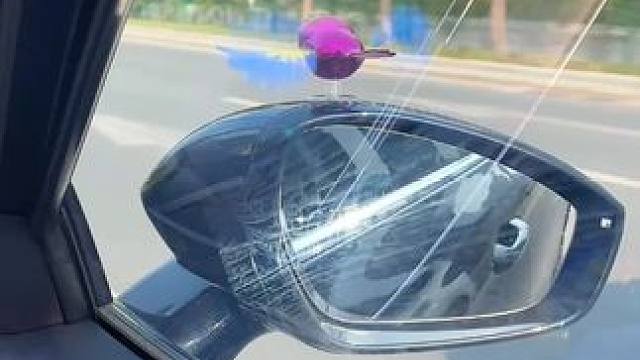 伴飞小鸟 我也有一只跟着我飞的小鹦鹉啦，快艾特你的男盆友给你买#汽车装饰品 #汽车好物推荐  #汽车