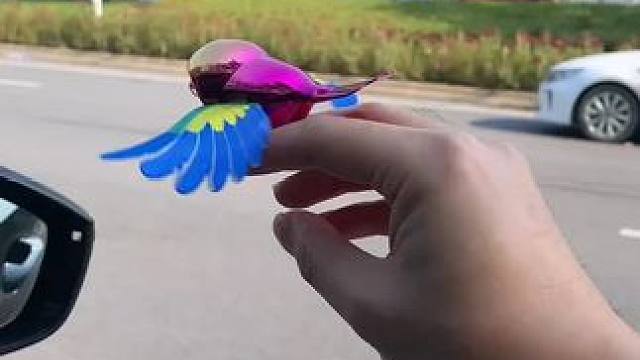 伴飞小鸟 我也有一只跟着我飞的小鹦鹉啦，快艾特你的男盆友给你买