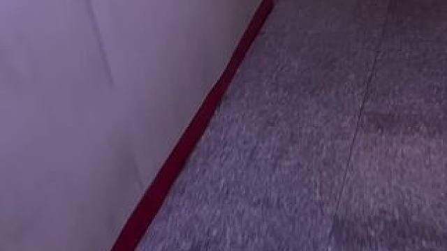 节目效果，节目效果 我纯文明人