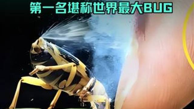 世界上拥有超能力的10种动物 #科普 #动物世界 #奇妙的动物 #全球探索