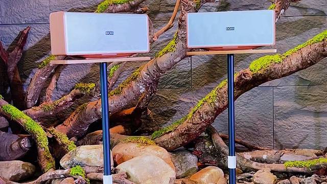 茶室里摆上这个音响瞬间提升档次了