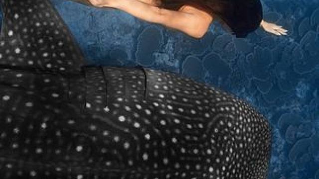 “越靠近越真实”每次看电影前的这句广告终于得到了证实。