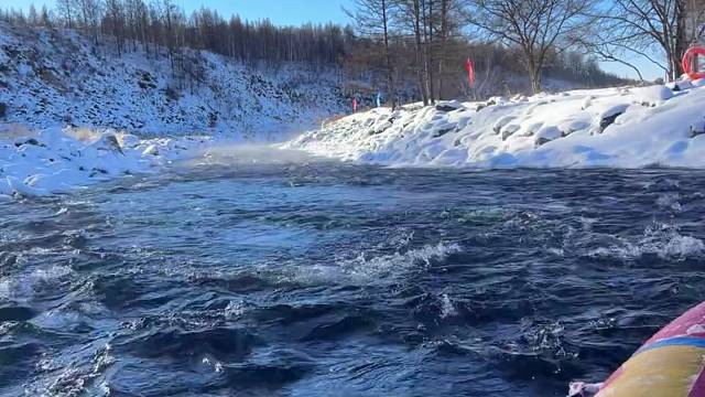 希望每个人都像我一样自由