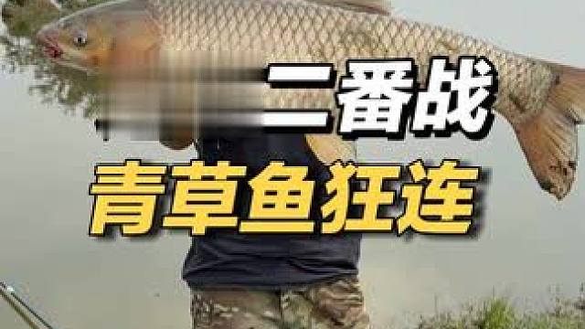 大家期待的切线跑鱼后续来啦！ #原来钓鱼才是运动顶流