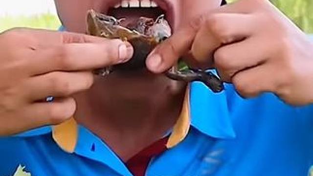 剁椒辣酱️满籽蛋蛋蛙 #美食 #泰国美食 #户外美食 #美食 #内容启发搜索