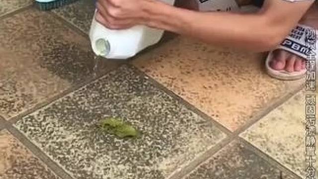 瓷砖强力清洁剂，解决反碱，发黑，发黄，铁锈等问题，厕所清洁的好帮手！