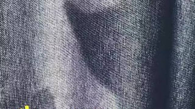 让你们看看我养的皮卡丘#皮卡丘 #宝可梦