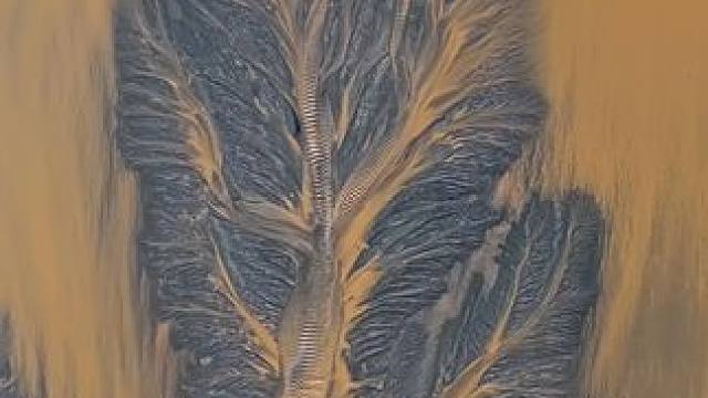 10月30日，浙江杭州，钱塘江小潮汛退潮后，“潮汐树”景观再次浮现于滩涂之上。其纹理细腻如丝，脉络清